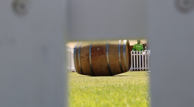 Wine barrel rolling fun at Stellenbosch Wine Festival, South Africa.