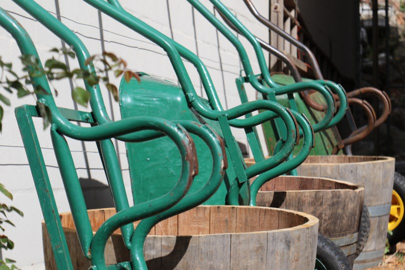 Wheelbarrrows at Shannon Vineyards.