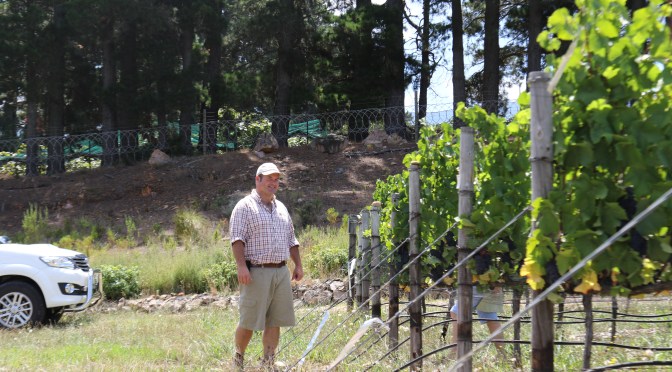 James Downes at Shannon Vineyards in the Elgin Valley South Africa.