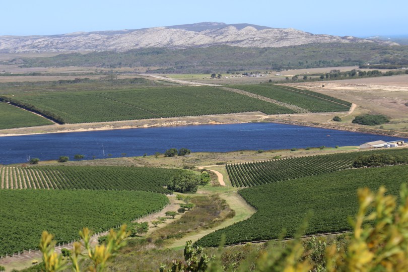 Lomond Wine Estate in Cape Agulhas South Africa.