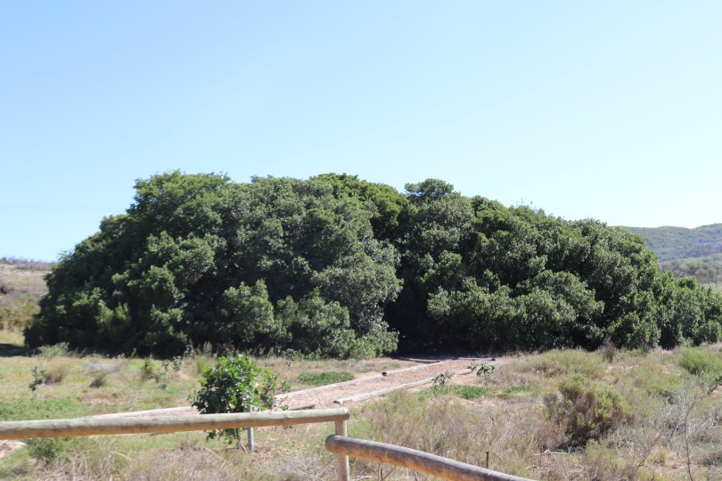The tasting room at Lomond Wines in Cape Agulhas South Africa.