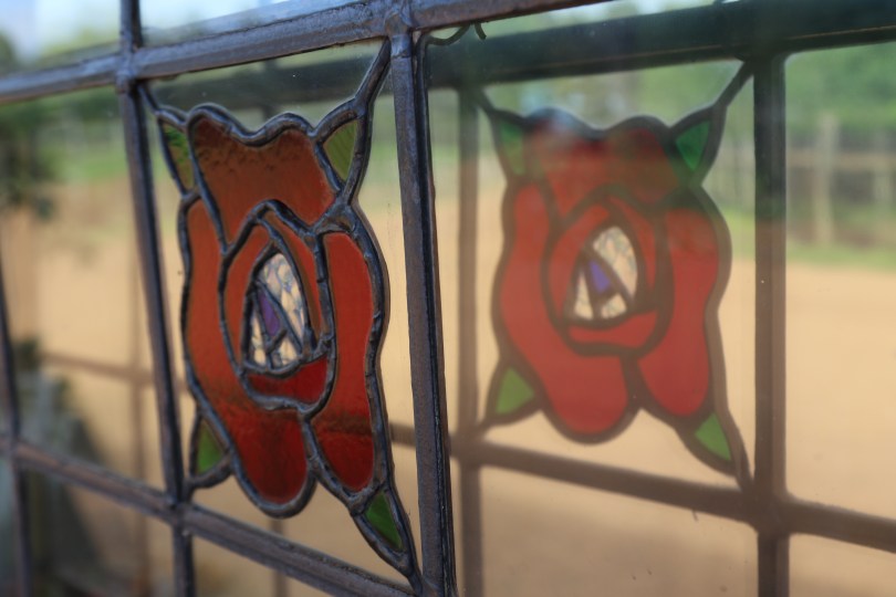 Window flower at Stella Bella in Margaret River Western Australia.
