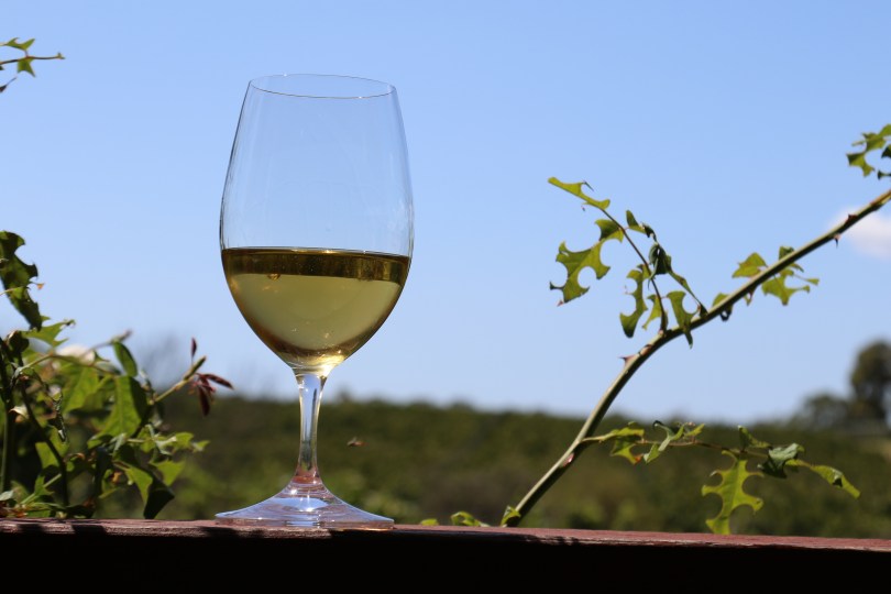 A glass of Amber Wine at Cullen Wines in Margaret River Australia.