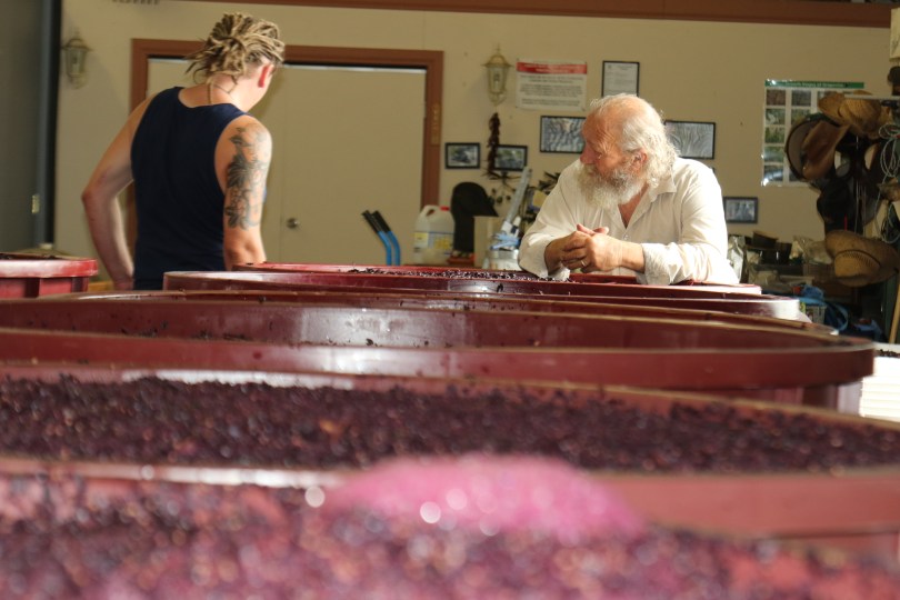 Steve Daniel and his son discuss the wine ferment at Danshi Rise winery in McLaren Vale Australia.