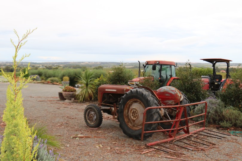 Tractors await some action at Danshi Rise Wines in McLaren Vale Australia.