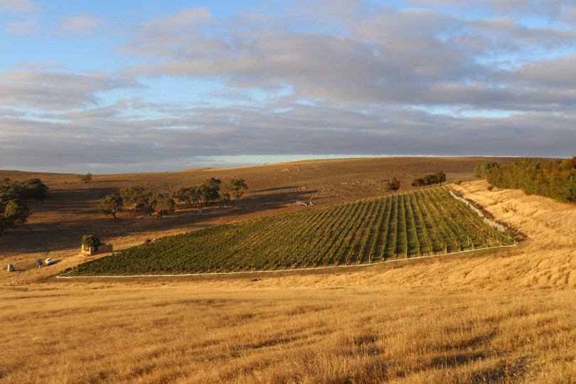 The Gaia Vines Short Film from Montager Productions in association with the Around The World In 80 Wines project.