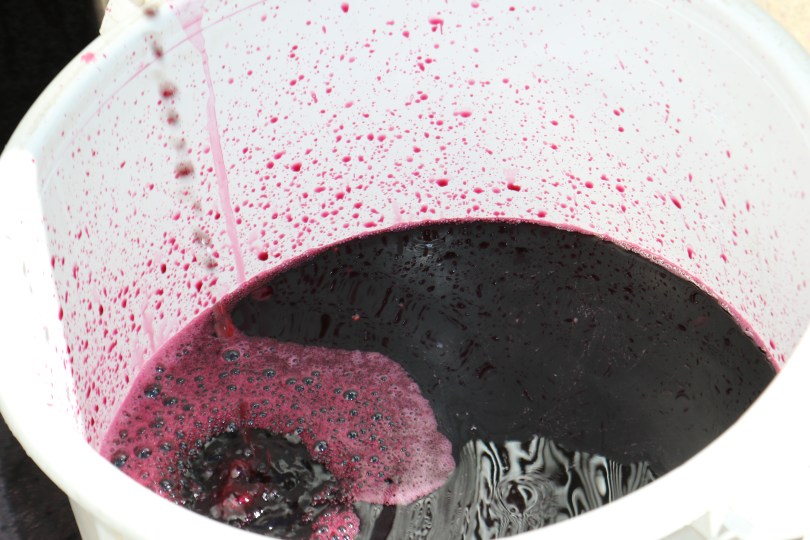 Red Wine in the bucket.