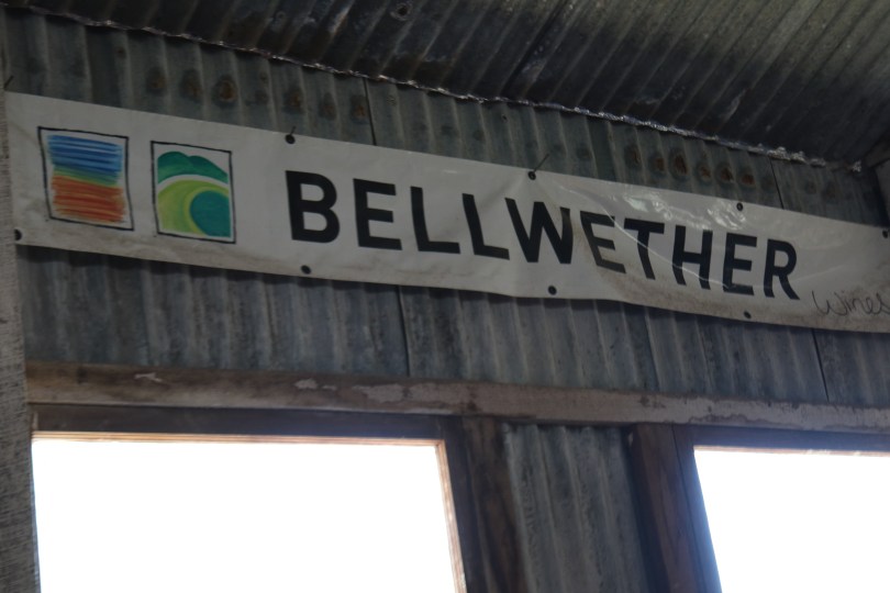 Bellwether Wines banner at the woolshed in Coonawarra Australia.