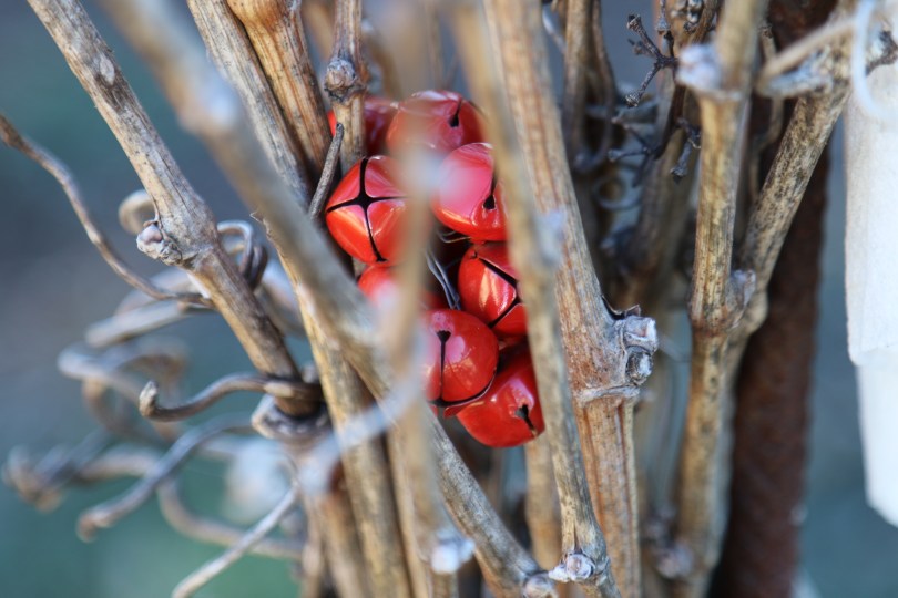 Art all around Bellwether Wines in Coonawarra Australia.