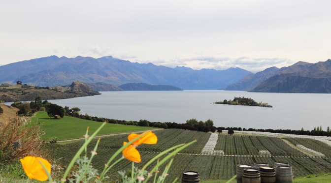 Beautiful views from the Rippon Vineyard cellar door in Wanaka New Zealand.