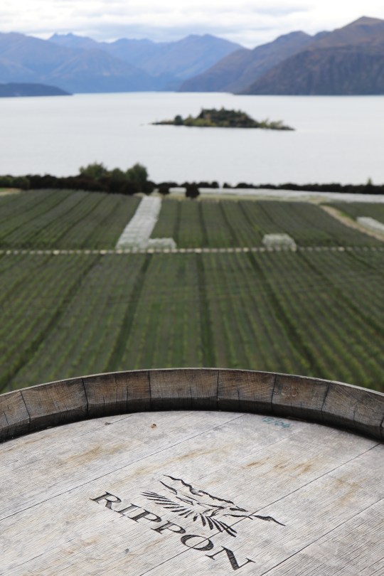 Views of the Rippon Vineyard in New Zealand.