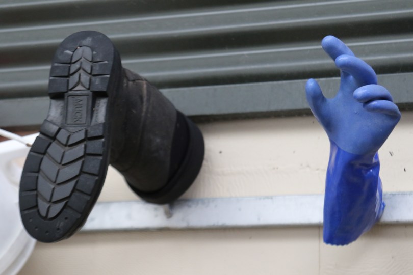 A boot and a glove hang on the wall at the Felton Road winery in New Zealand.