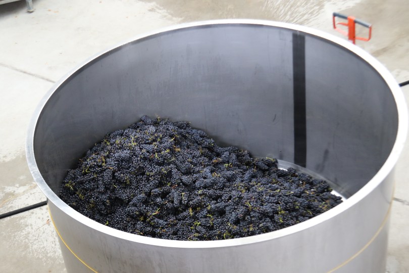 Pinot Noir in the tank at the Felton Road winery in Bannockburn New Zealand.