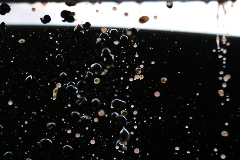 Pinot Noir grapes in mid air as they go through the de-stalking process.