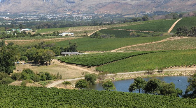 Matthew Day Interview