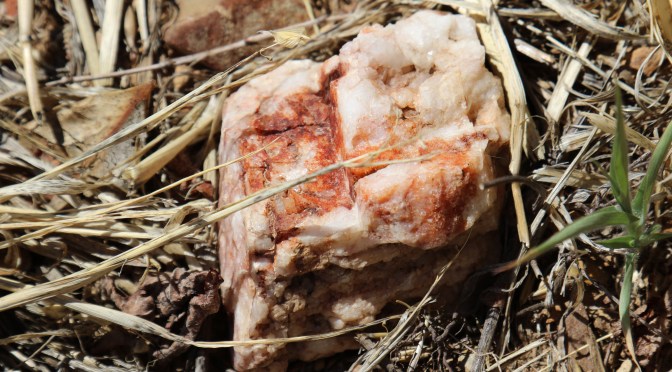 Quartz stone at Dalwhinnie Wines.