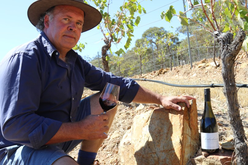 David Jones in a vineyard at Dalwhinnie Wines in Australia.