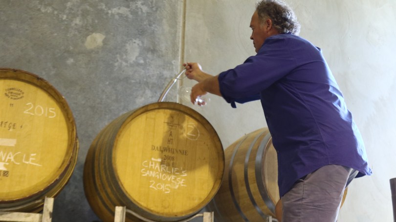 David Jones in the Dalwhinnie wine cellar Australia tasting his sons Sangiovese.