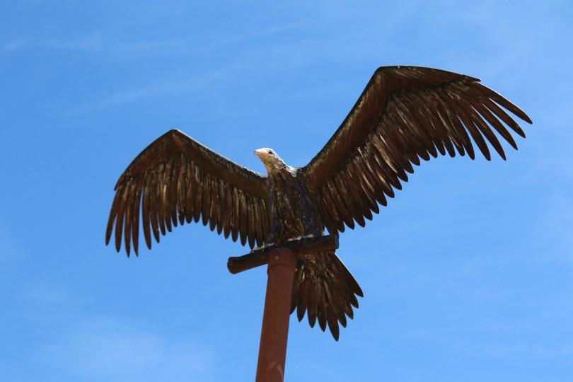 The Eagle Shiraz at Dalwhinnie Wines in Australia.