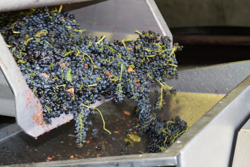 Last delivery of the harvest for Summerfield Wines in Australia.