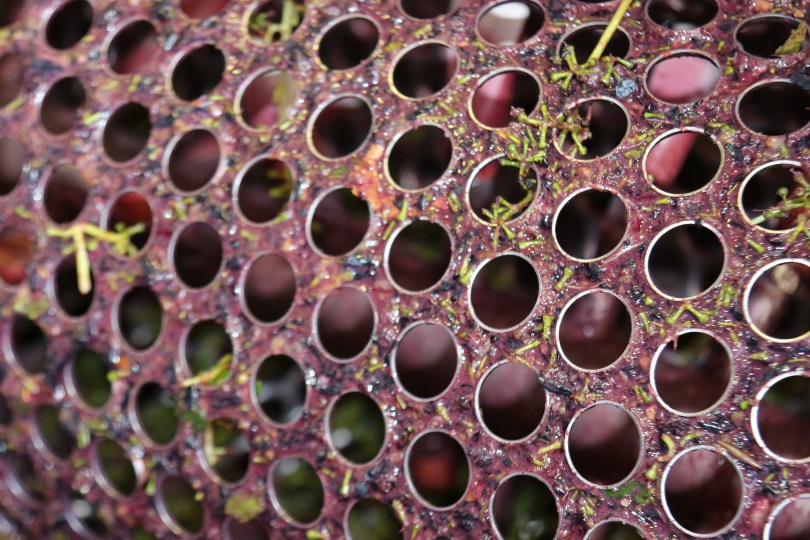 A de-stalking machine at Summerfield Wines in Australia.