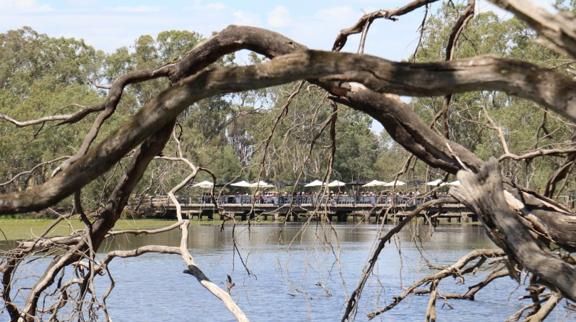 Lunch on the bridge at Tahbilk Winery Estate in Australia.