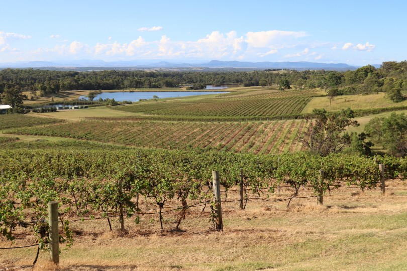 Great views from Audrey Wilkinson Wines.