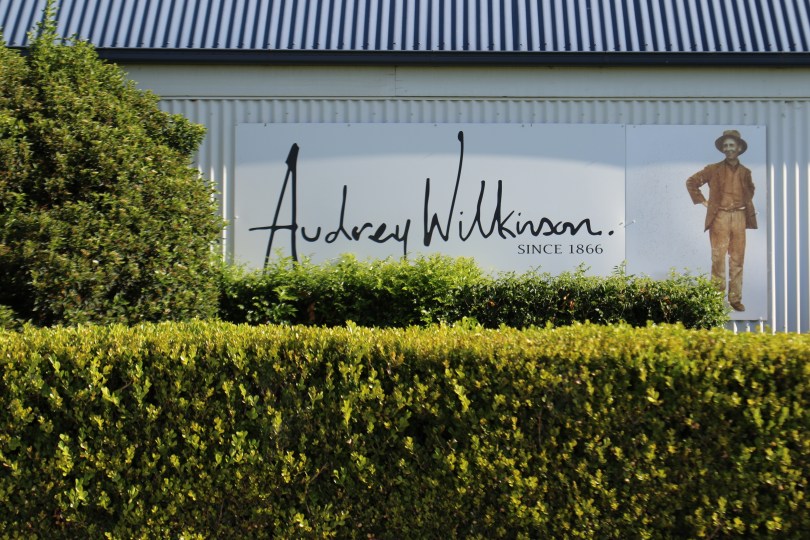 Audrey Wilkinson logo.