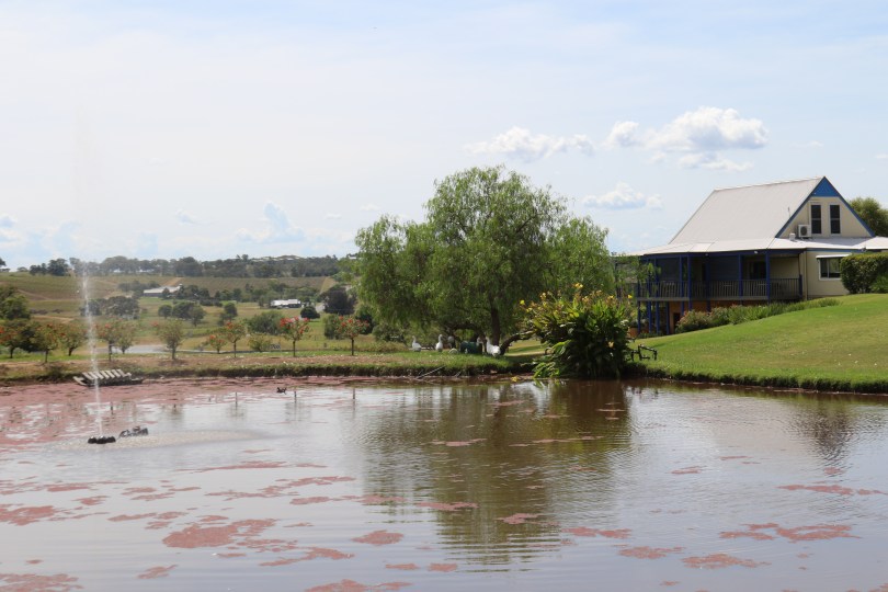 Ivanhoe pond in Hunter Valley Australia.