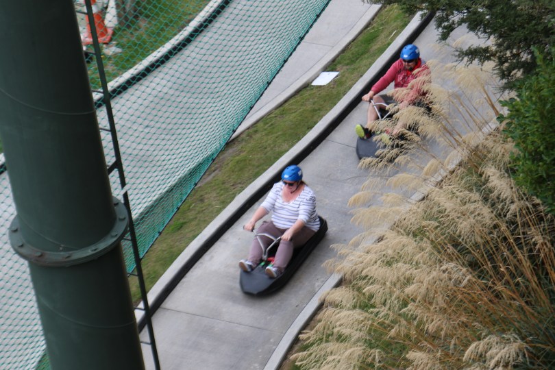 Downhill karting in Queenstown.