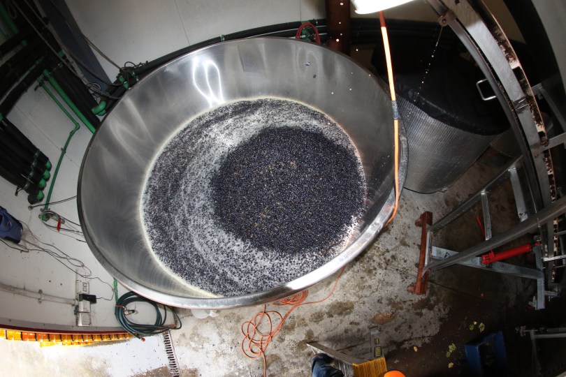 Large tank at Neudorf winery in New Zealand.