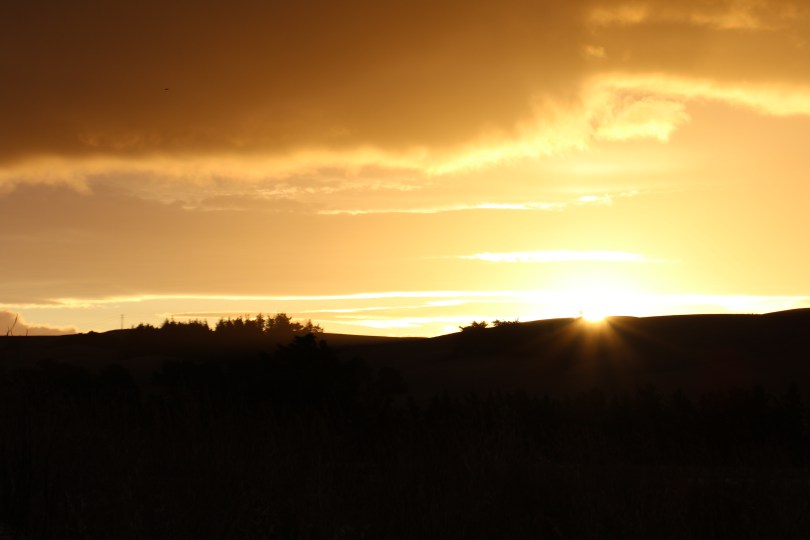 The sun goes down on Escarpment winery in New Zealand.