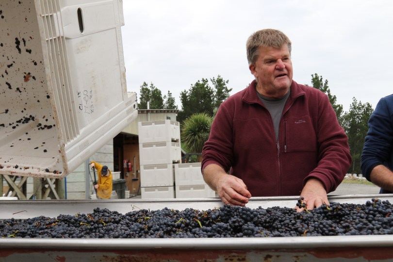 Larry McKenna of Escarpment at the sorting table in New Zealand.