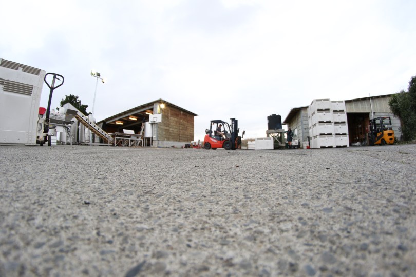 Forklift view at Escarpment winery in Martinborough, New Zealand.