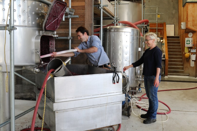Helen and Chris working in the Ata Rangi winery in New Zealand.