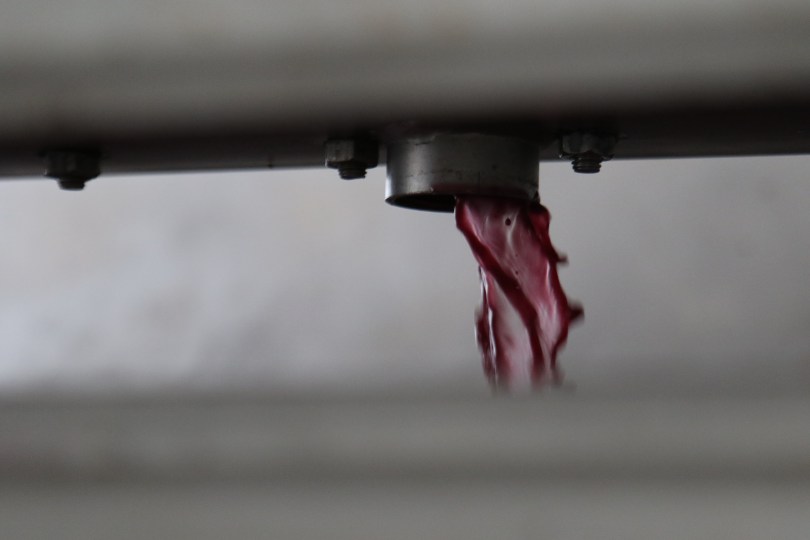 Red wine falling from the press machinery at the Ata Rangi winery in Martinborough, New Zealand.