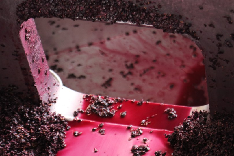 Red wine juice in the tank at Ata Rangi winery in New Zealand.