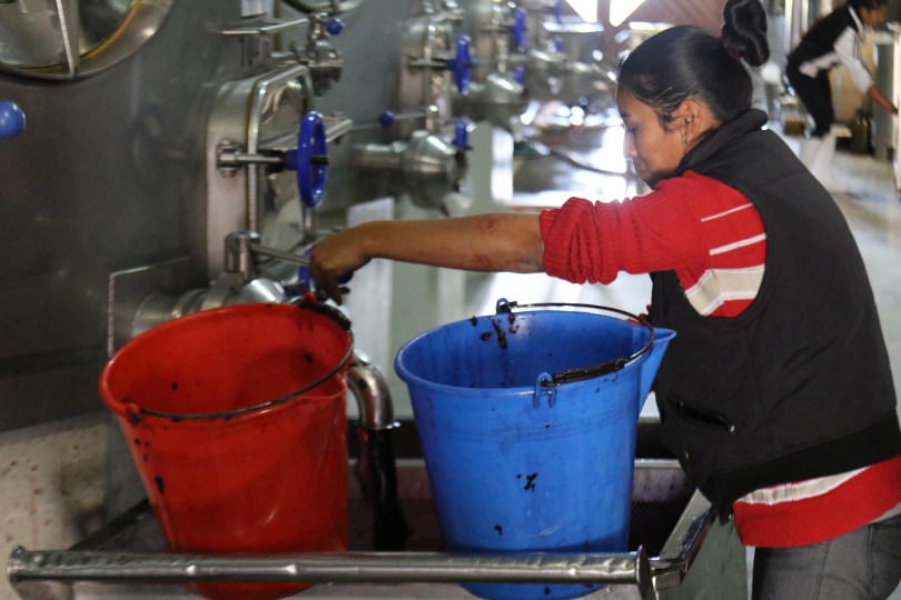 Working hard in the winery at Bodega Colome in Argentina.