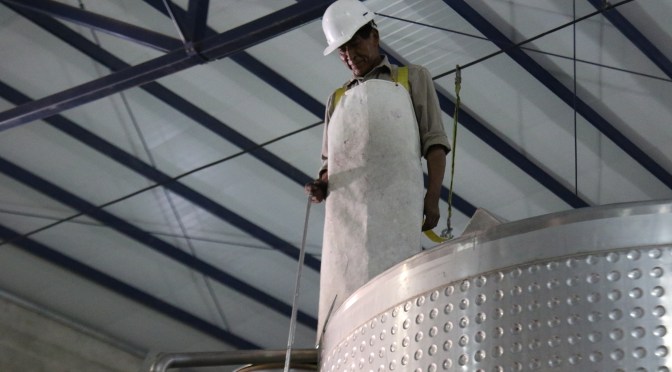 Staff member on top of the tank at the Colome winery in Salta, Argentina.