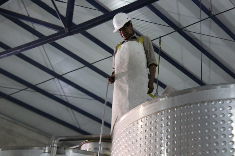 Staff member on top of the tank at the Colome winery in Salta, Argentina.
