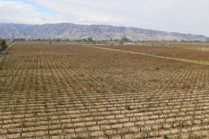 A view of the Tulum Valley in San Juan taken from the top of the tanks at Bodegas Borbore in Argentina.