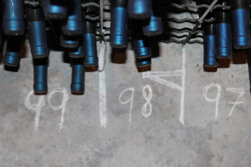Aging wine since 1998 in the Pegasus Bay wine cellar in New Zealand.