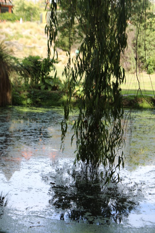 Lake at Pegasus Bay in Waipara Valley in New Zealand.