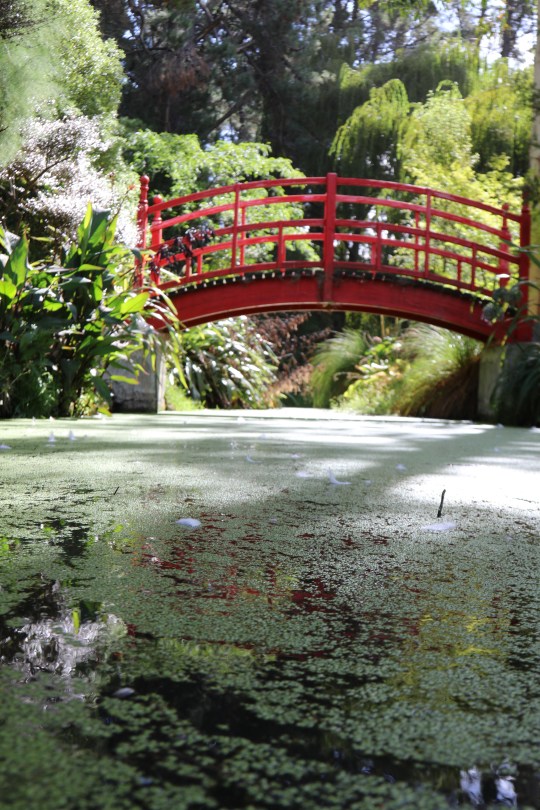 Beautiful gardens at Pegasus Bay in Waipara Valley in New Zealand.