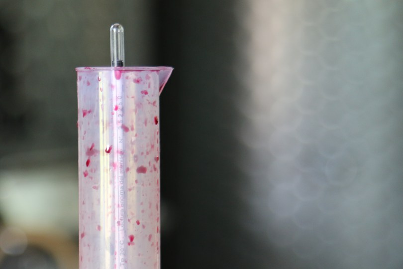 Thermometer being used for the red wine.