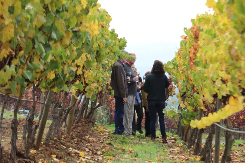 The Paule family take a wine tour around the vineyards at Kingston Family Vineyards in Chile.