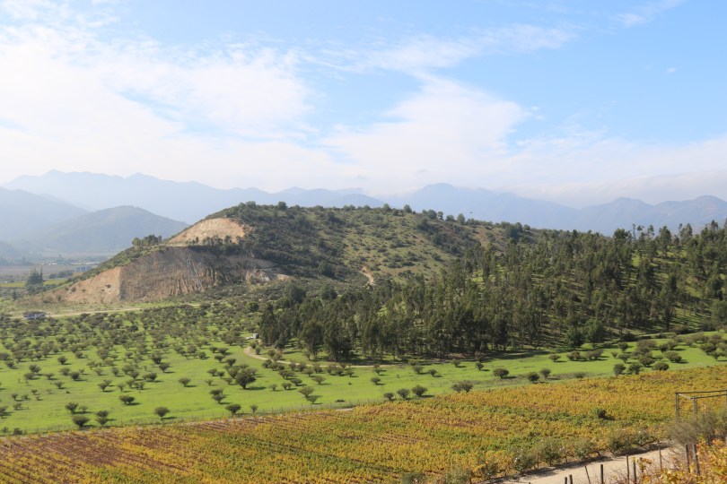 The view across the Casablanca Valley from the Indomita winery in Chile.