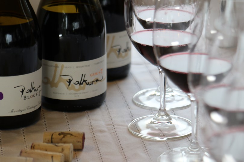 Wine tasting with wine poured at Polkura Wines in the Colchagua Valley in Chile.