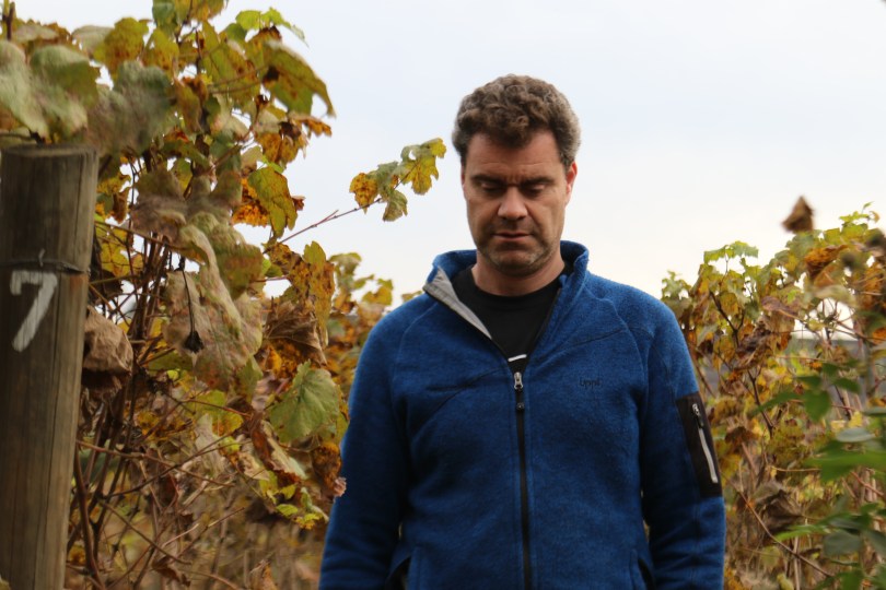 Guy Hooper the homemade winemaker of Caviahue Wines walks through his garden vines in Mapio Valley in Chile.