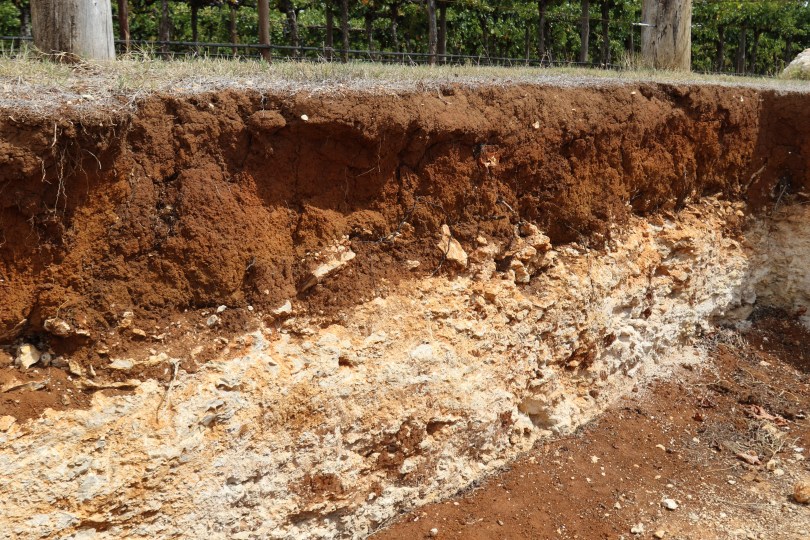 Terra Rossa soils at Wynns Coonawarra Estate in Australia..